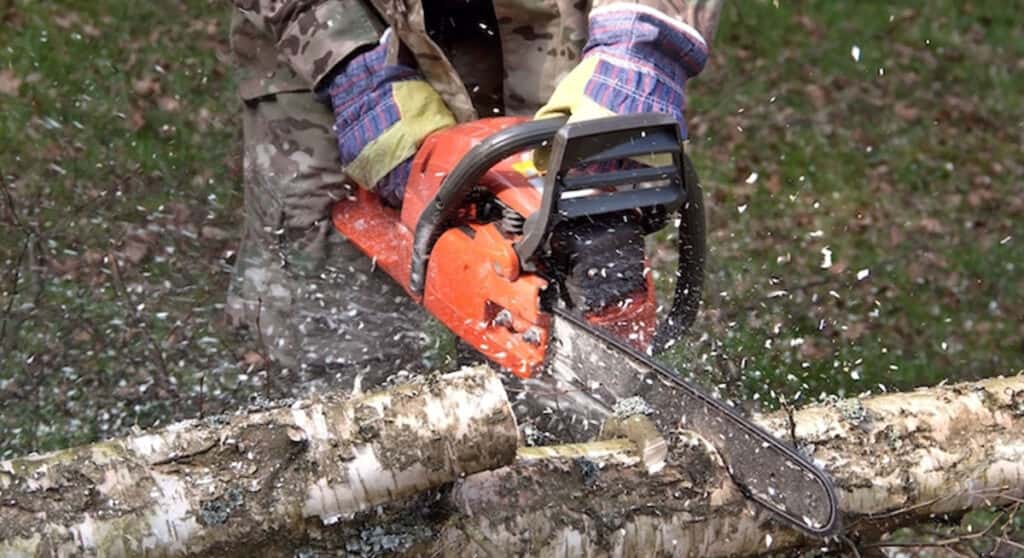 8 Best Chainsaw Chains for Hardwood